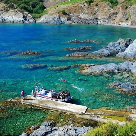 Appartement T2 Les Aloes Superbe Vue Mer-acces Crique & Sentier Du Littoral 50 M 3 Etoiles *