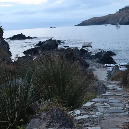 T2 Les Aloes Superbe Vue Mer-acces Crique & Sentier Du Littoral 50 M 3 Etoiles * Cerbère
