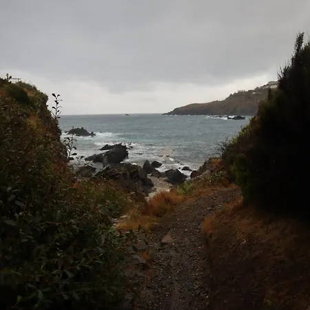 T2 Les Aloes Superbe Vue Mer-acces Crique & Sentier Du Littoral 50 M 3 Etoiles Appartement Cerbère