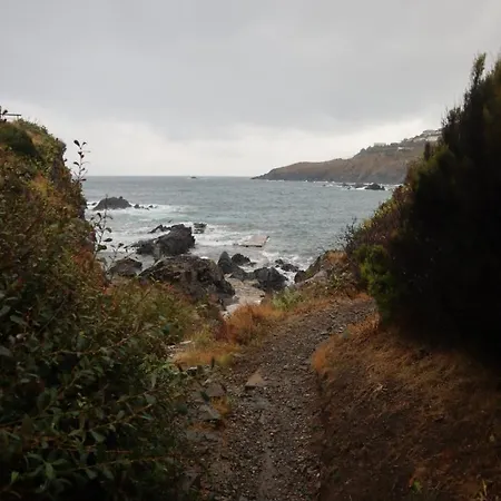 T2 Les Aloes Superbe Vue Mer-acces Crique & Sentier Du Littoral 50 M 3 Etoiles *