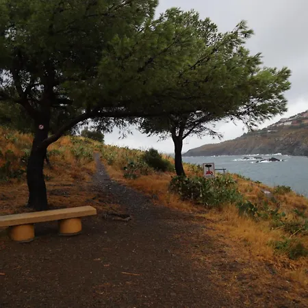 Appartement T2 Les Aloes Superbe Vue Mer-acces Crique & Sentier Du Littoral 50 M 3 Etoiles *