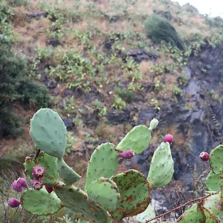 T2 Les Aloes Superbe Vue Mer-acces Crique & Sentier Du Littoral 50 M 3 Etoiles Appartement