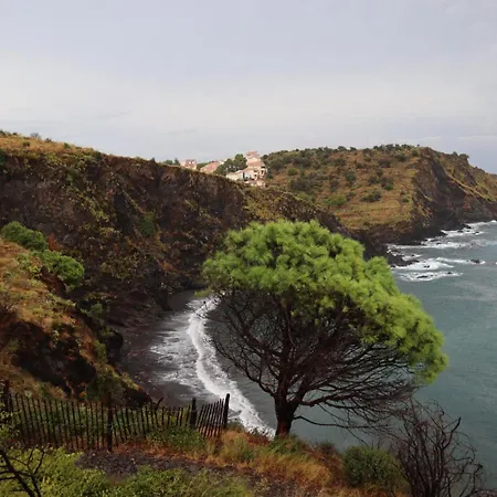 T2 Les Aloes Superbe Vue Mer-acces Crique & Sentier Du Littoral 50 M 3 Etoiles *